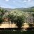 campingyuste (99)